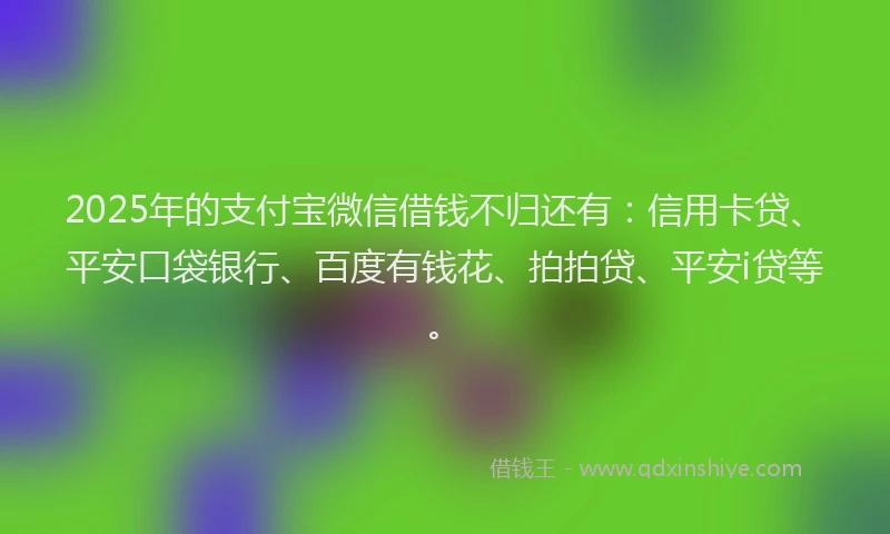 2025年的支付宝微信借钱不归还有：信用卡贷、平安口袋银行、百度有钱花、拍拍贷、平安i贷等。