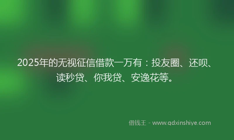 2025年的无视征信借款一万有：投友圈、还呗、读秒贷、你我贷、安逸花等。