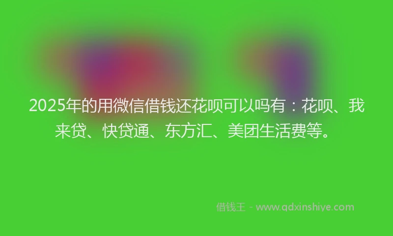 2025年的用微信借钱还花呗可以吗有：花呗、我来贷、快贷通、东方汇、美团生活费等。