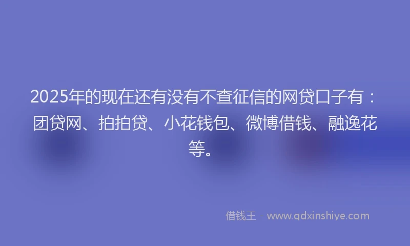 2025年的现在还有没有不查征信的网贷口子有：团贷网、拍拍贷、小花钱包、微博借钱、融逸花等。