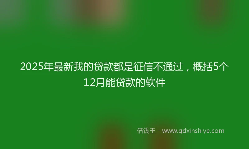 2025年最新我的贷款都是征信不通过，概括5个12月能贷款的软件