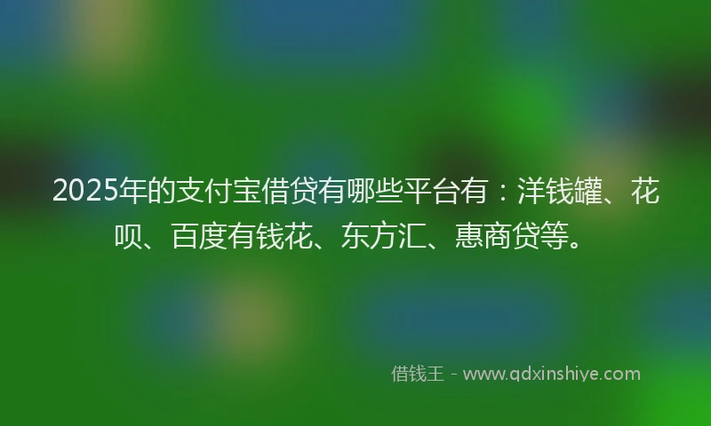2025年的支付宝借贷有哪些平台有：洋钱罐、花呗、百度有钱花、东方汇、惠商贷等。