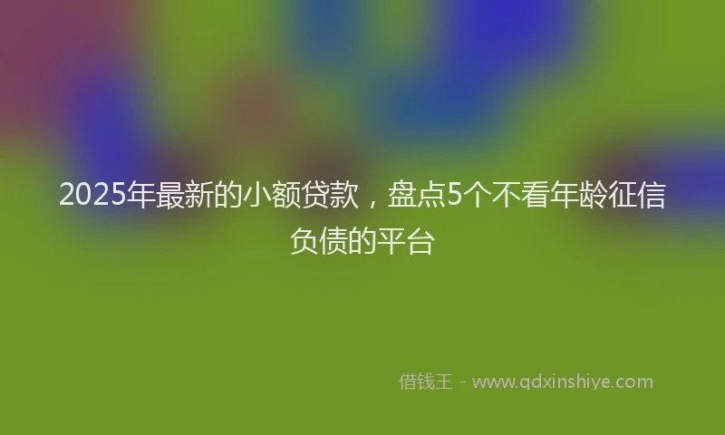 2025年最新的小额贷款，盘点5个不看年龄征信负债的平台