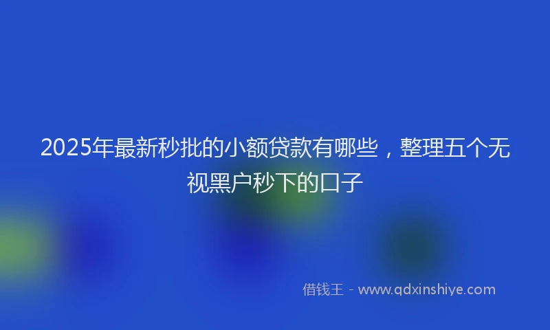 2025年最新秒批的小额贷款有哪些，整理五个无视黑户秒下的口子