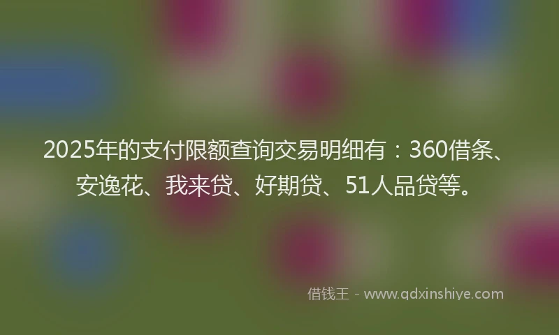 2025年的支付限额查询交易明细有：360借条、安逸花、我来贷、好期贷、51人品贷等。