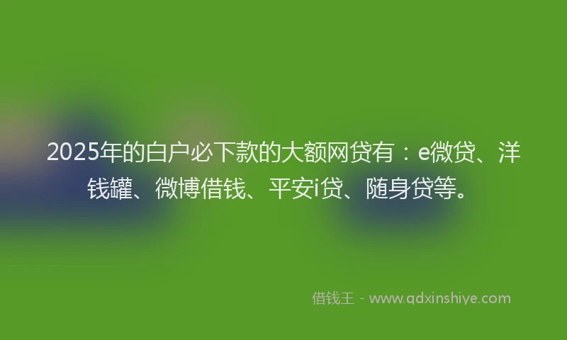 2025年的白户必下款的大额网贷有：e微贷、洋钱罐、微博借钱、平安i贷、随身贷等。