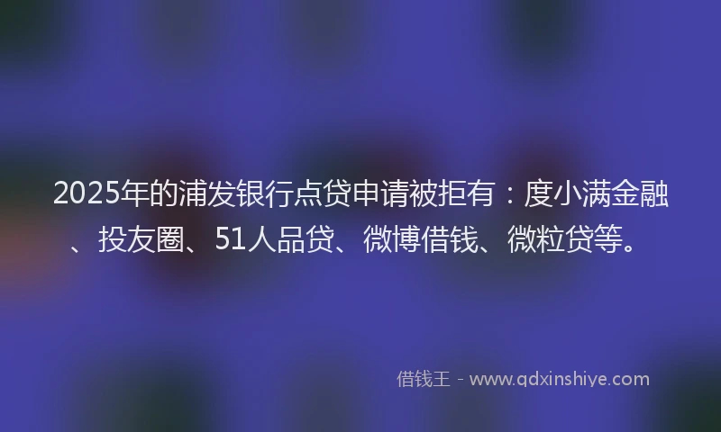 2025年的浦发银行点贷申请被拒有：度小满金融、投友圈、51人品贷、微博借钱、微粒贷等。