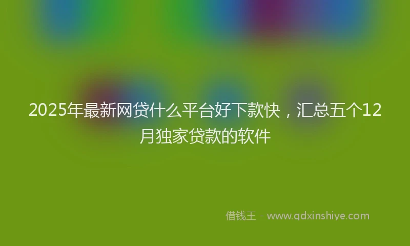 2025年最新网贷什么平台好下款快，汇总五个12月独家贷款的软件
