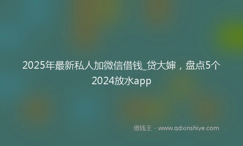 2025年最新私人加微信借钱_贷大婶，盘点5个2024放水app