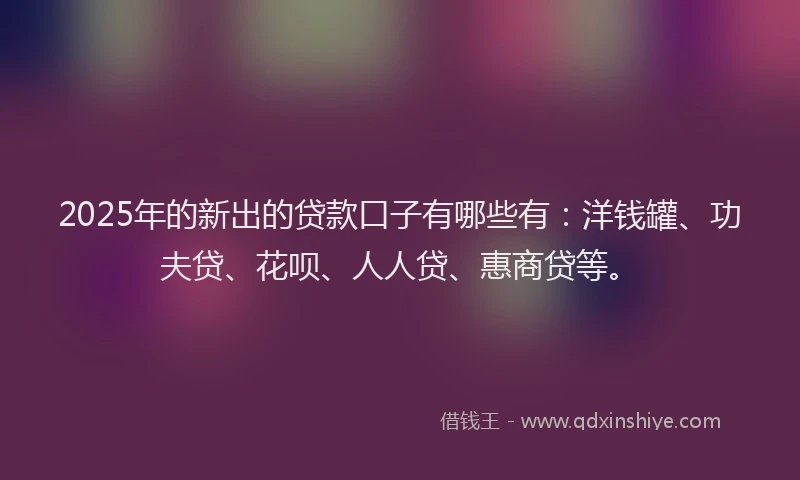 2025年的新出的贷款口子有哪些有：洋钱罐、功夫贷、花呗、人人贷、惠商贷等。