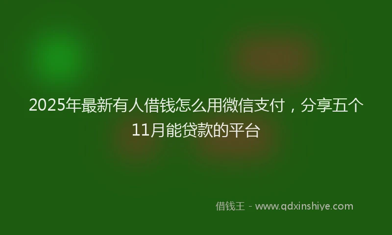 2025年最新有人借钱怎么用微信支付，分享五个11月能贷款的平台