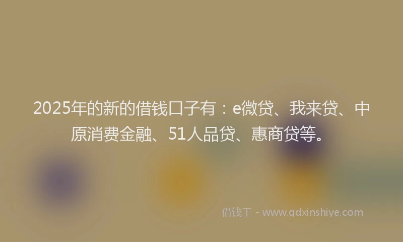 2025年的新的借钱口子有：e微贷、我来贷、中原消费金融、51人品贷、惠商贷等。