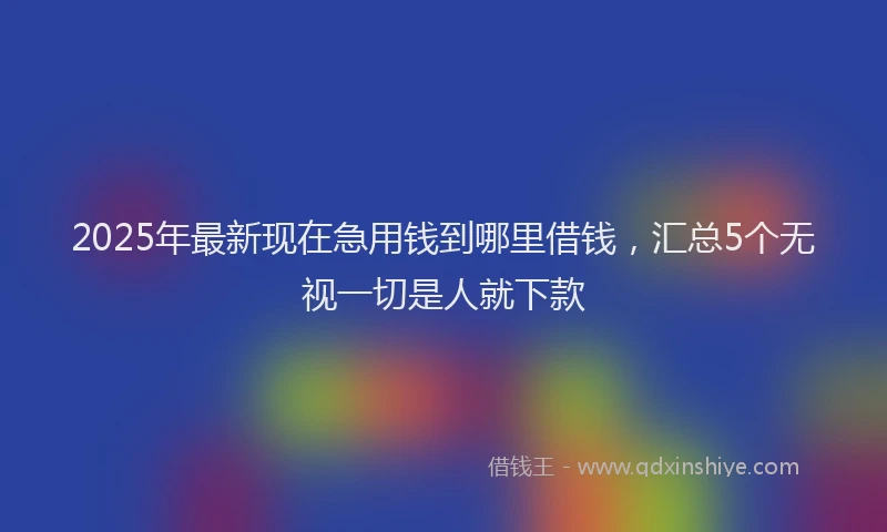 2025年最新现在急用钱到哪里借钱，汇总5个无视一切是人就下款