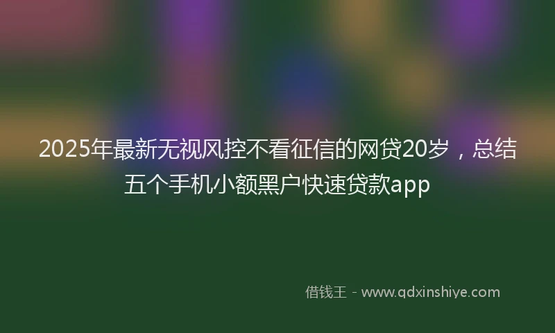 2025年最新无视风控不看征信的网贷20岁，总结五个手机小额黑户快速贷款app
