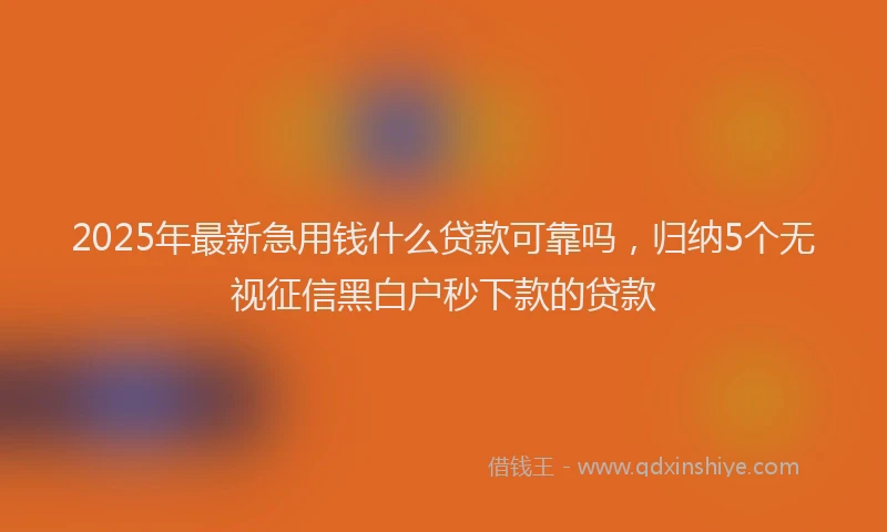 2025年最新急用钱什么贷款可靠吗，归纳5个无视征信黑白户秒下款的贷款
