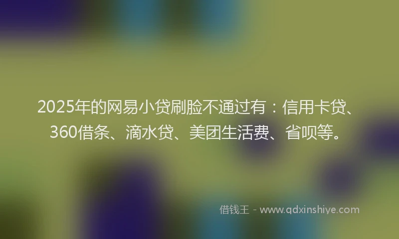 2025年的网易小贷刷脸不通过有：信用卡贷、360借条、滴水贷、美团生活费、省呗等。