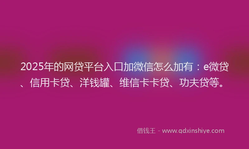2025年的网贷平台入口加微信怎么加有：e微贷、信用卡贷、洋钱罐、维信卡卡贷、功夫贷等。