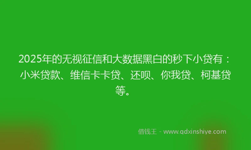 2025年的无视征信和大数据黑白的秒下小贷有:小米贷款、维信卡卡贷、还呗、你我贷、柯基贷等。