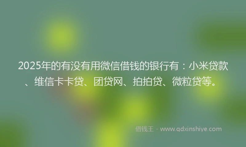 2025年的有没有用微信借钱的银行有：小米贷款、维信卡卡贷、团贷网、拍拍贷、微粒贷等。