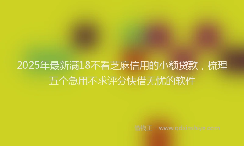 2025年最新满18不看芝麻信用的小额贷款，梳理五个急用不求评分快借无忧的软件