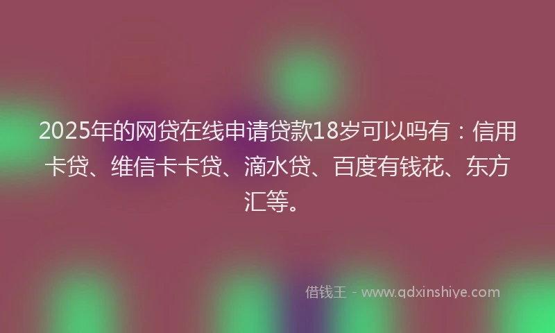 2025年的网贷在线申请贷款18岁可以吗有：信用卡贷、维信卡卡贷、滴水贷、百度有钱花、东方汇等。