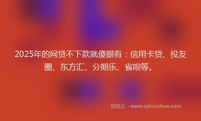 2025年的网贷不下款就傻眼有：信用卡贷、投友圈、东方汇、分期乐、省呗等。