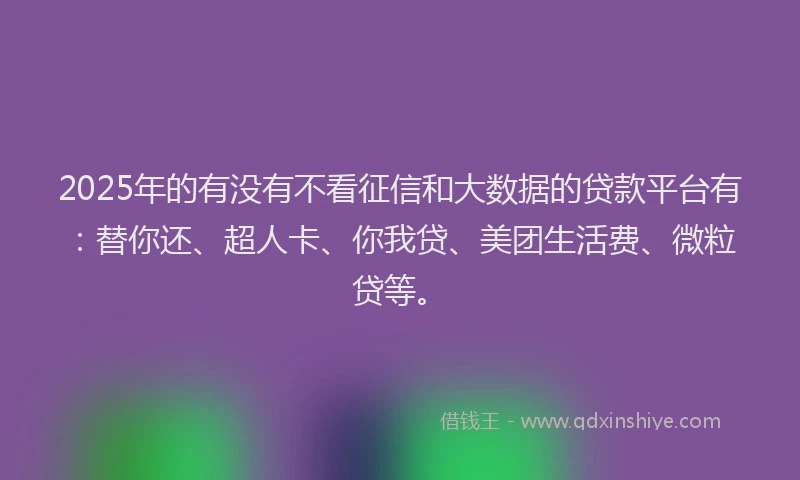 2025年的有没有不看征信和大数据的贷款平台有：替你还、超人卡、你我贷、美团生活费、微粒贷等。