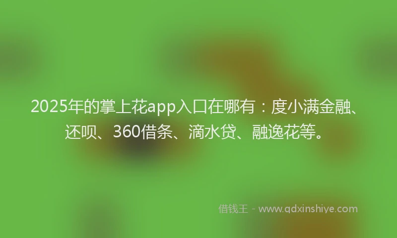 2025年的掌上花app入口在哪有：度小满金融、还呗、360借条、滴水贷、融逸花等。