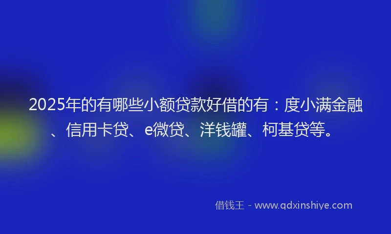 2025年的有哪些小额贷款好借的有：度小满金融、信用卡贷、e微贷、洋钱罐、柯基贷等。