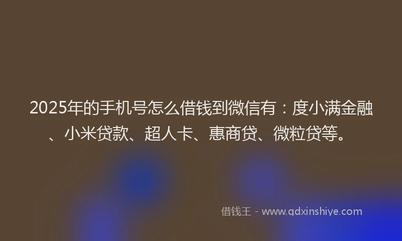 2025年的手机号怎么借钱到微信有：度小满金融、小米贷款、超人卡、惠商贷、微粒贷等。