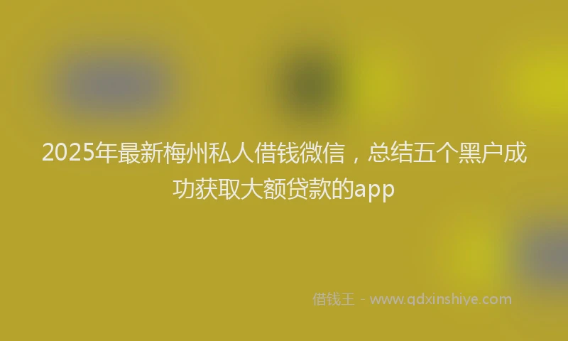 2025年最新梅州私人借钱微信，总结五个黑户成功获取大额贷款的app