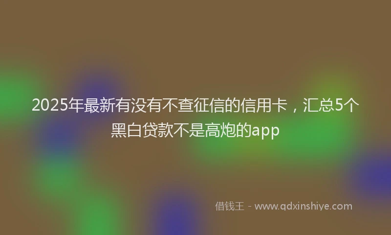 2025年最新有没有不查征信的信用卡，汇总5个黑白贷款不是高炮的app