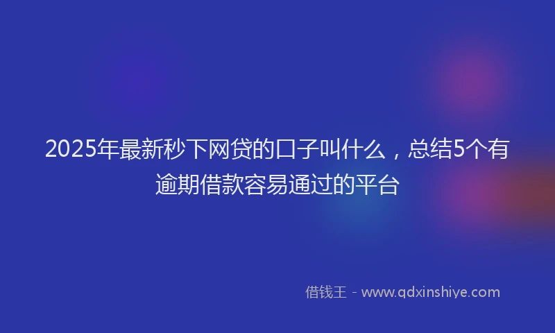 2025年最新秒下网贷的口子叫什么，总结5个有逾期借款容易通过的平台