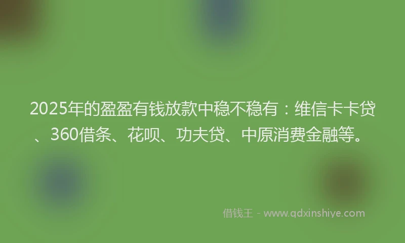 2025年的盈盈有钱放款中稳不稳有：维信卡卡贷、360借条、花呗、功夫贷、中原消费金融等。