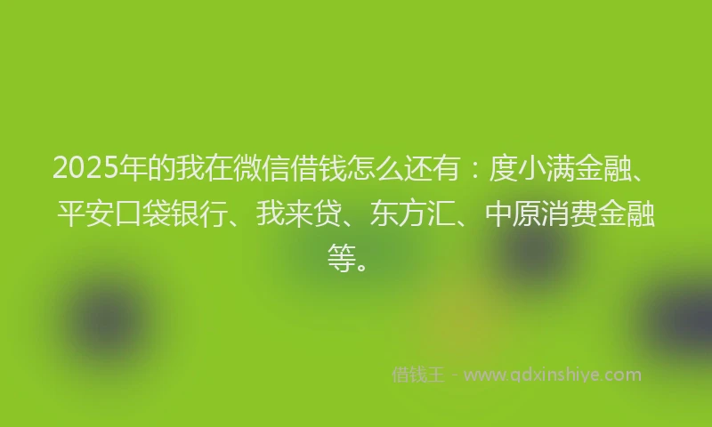 2025年的我在微信借钱怎么还有：度小满金融、平安口袋银行、我来贷、东方汇、中原消费金融等。
