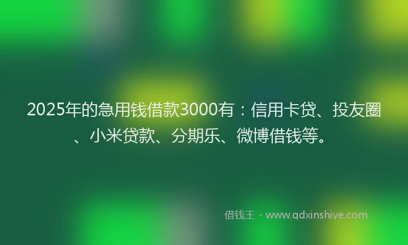 2025年的急用钱借款3000有：信用卡贷、投友圈、小米贷款、分期乐、微博借钱等。