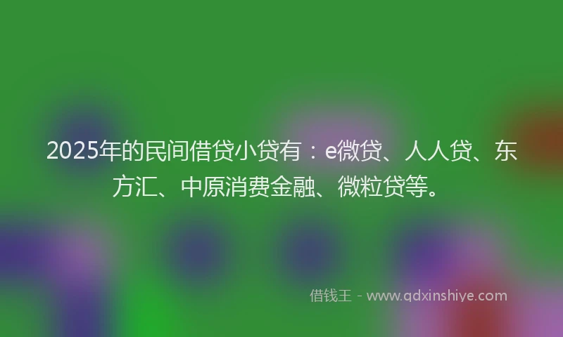 2025年的民间借贷小贷有：e微贷、人人贷、东方汇、中原消费金融、微粒贷等。