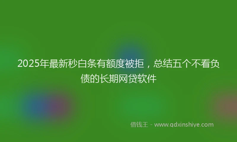 2025年最新秒白条有额度被拒，总结五个不看负债的长期网贷软件