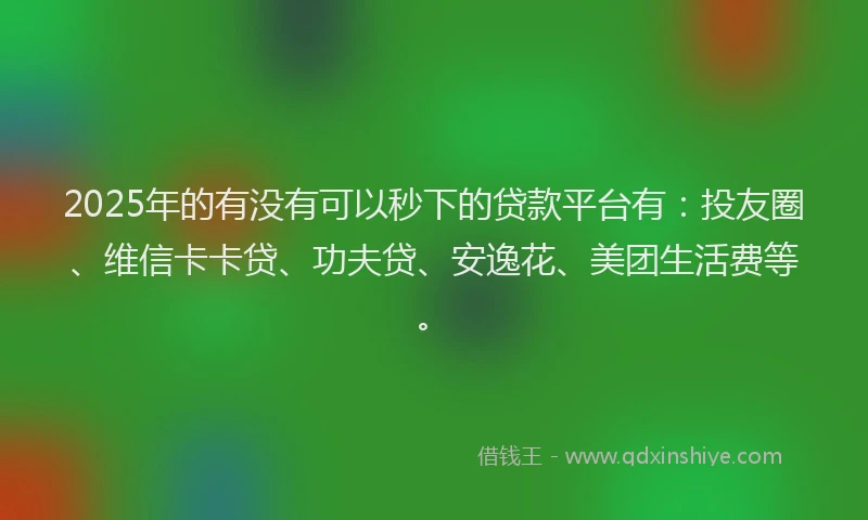 2025年的有没有可以秒下的贷款平台有：投友圈、维信卡卡贷、功夫贷、安逸花、美团生活费等。