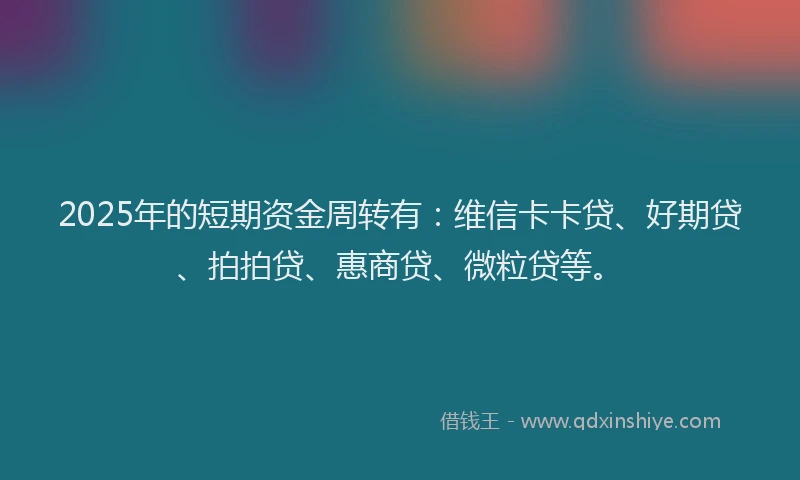 2025年的短期资金周转有：维信卡卡贷、好期贷、拍拍贷、惠商贷、微粒贷等。