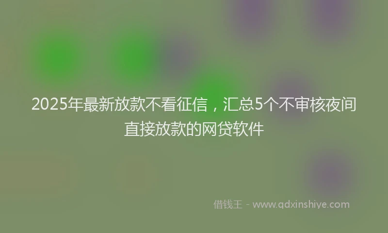 2025年最新放款不看征信，汇总5个不审核夜间直接放款的网贷软件