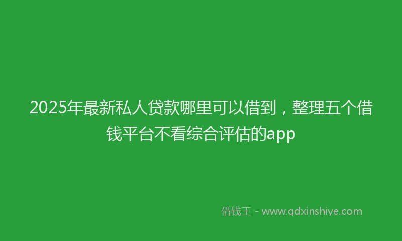 2025年最新私人贷款哪里可以借到，整理五个借钱平台不看综合评估的app