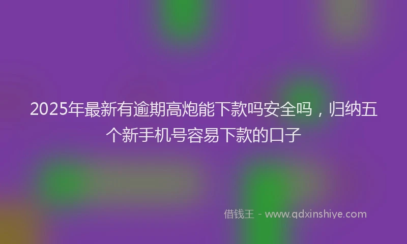 2025年最新有逾期高炮能下款吗安全吗，归纳五个新手机号容易下款的口子