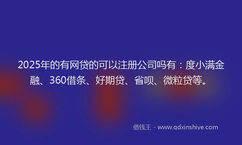 2025年的有网贷的可以注册公司吗有：度小满金融、360借条、好期贷、省呗、微粒贷等。