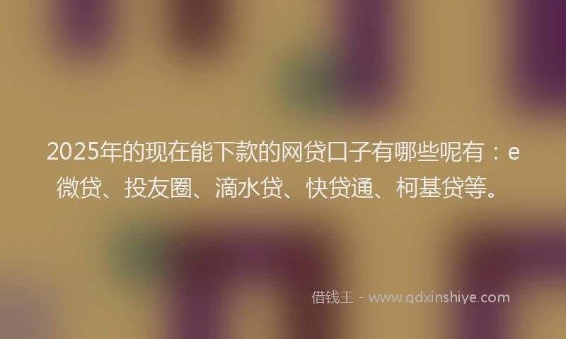 2025年的现在能下款的网贷口子有哪些呢有：e微贷、投友圈、滴水贷、快贷通、柯基贷等。