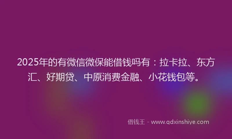 2025年的有微信微保能借钱吗有：拉卡拉、东方汇、好期贷、中原消费金融、小花钱包等。