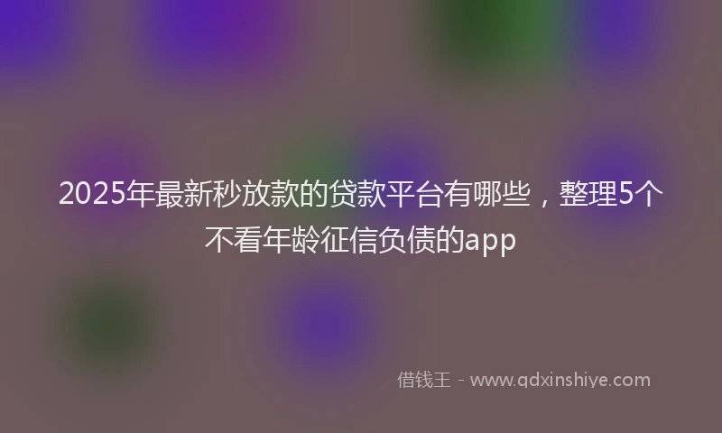 2025年最新秒放款的贷款平台有哪些，整理5个不看年龄征信负债的app