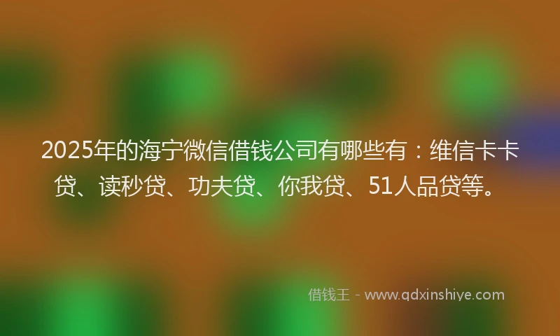 2025年的海宁微信借钱公司有哪些有：维信卡卡贷、读秒贷、功夫贷、你我贷、51人品贷等。