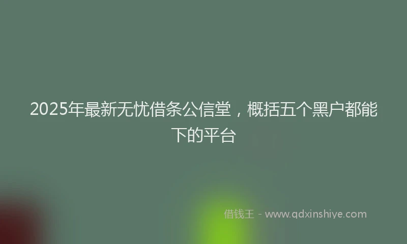 2025年最新无忧借条公信堂，概括五个黑户都能下的平台