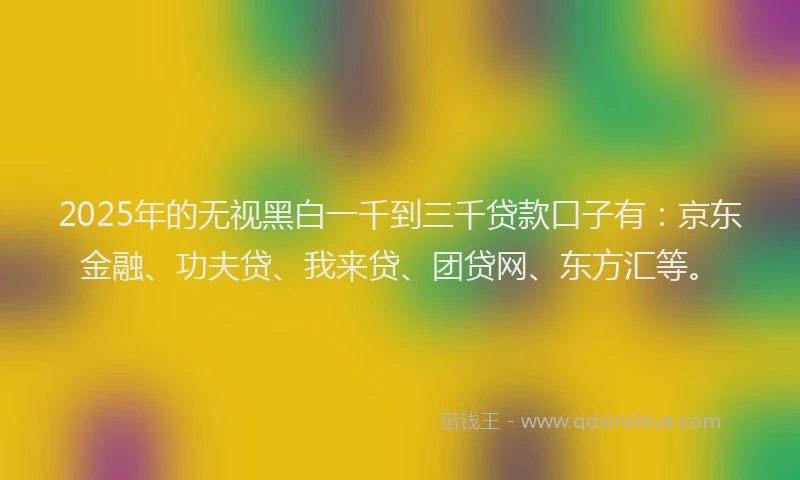 2025年的无视黑白一千到三千贷款口子有：京东金融、功夫贷、我来贷、团贷网、东方汇等。